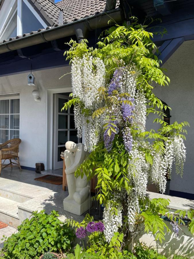 Gaensebluemchen 2 Apartment Daisy 2 Walsdorf  Exterior photo